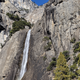 Illustration for article titled Toby in Yosemite